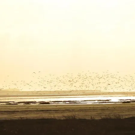 Le Macareux, Maison De Pecheur. סן-ואלרי-סור-סום