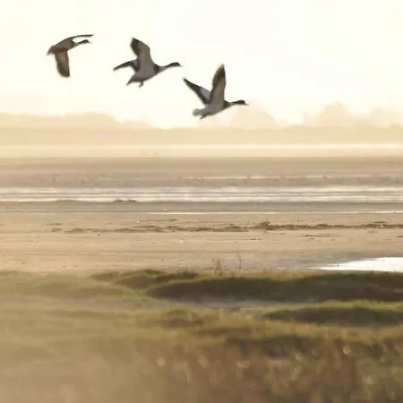 Le Macareux, Maison De Pecheur. * סן-ואלרי-סור-סום