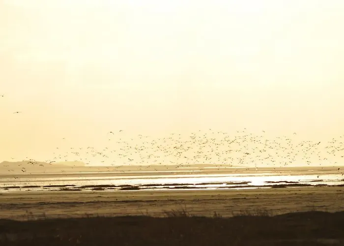 Le Macareux, Maison De Pecheur. סן-ואלרי-סור-סום