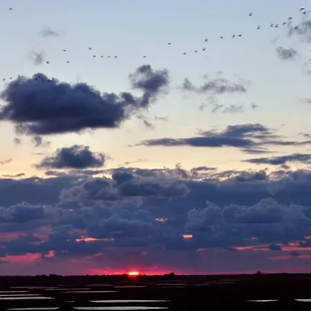 Le Macareux, Maison De Pecheur.