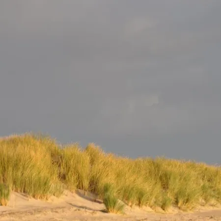 Le Macareux, Maison De Pecheur. * 索姆河畔的圣瓦列里