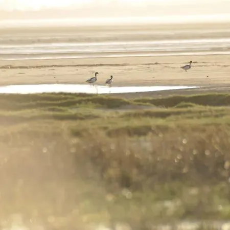 公寓 Le Macareux, Maison De Pecheur. *