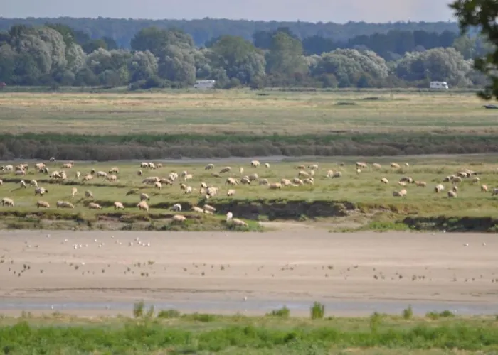 Appartement Le Macareux, Maison De Pêcheur.