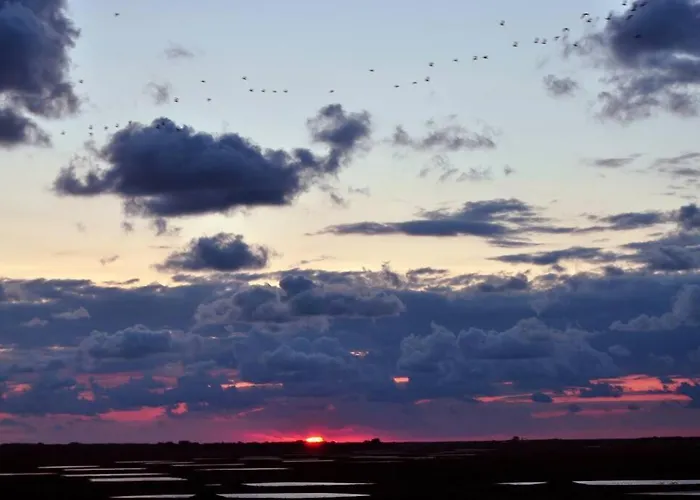 Le Macareux, Maison De Pêcheur.