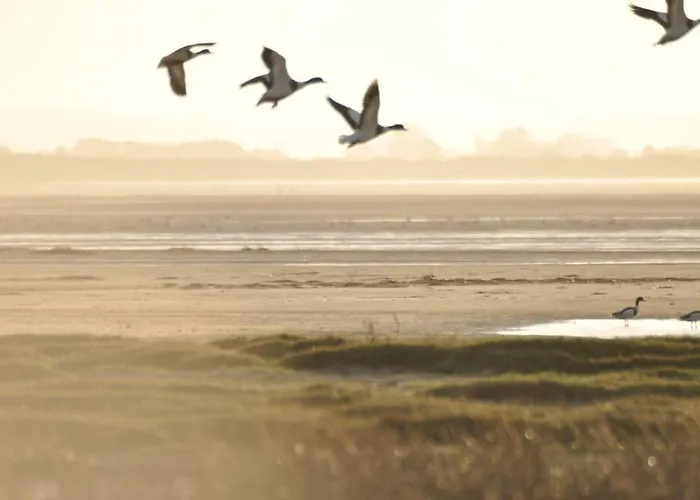Le Macareux, Maison De Pêcheur. * Saint-Valery-sur-Somme