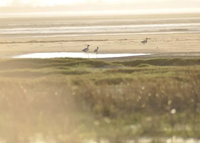 Appartement Le Macareux, Maison De Pêcheur. *